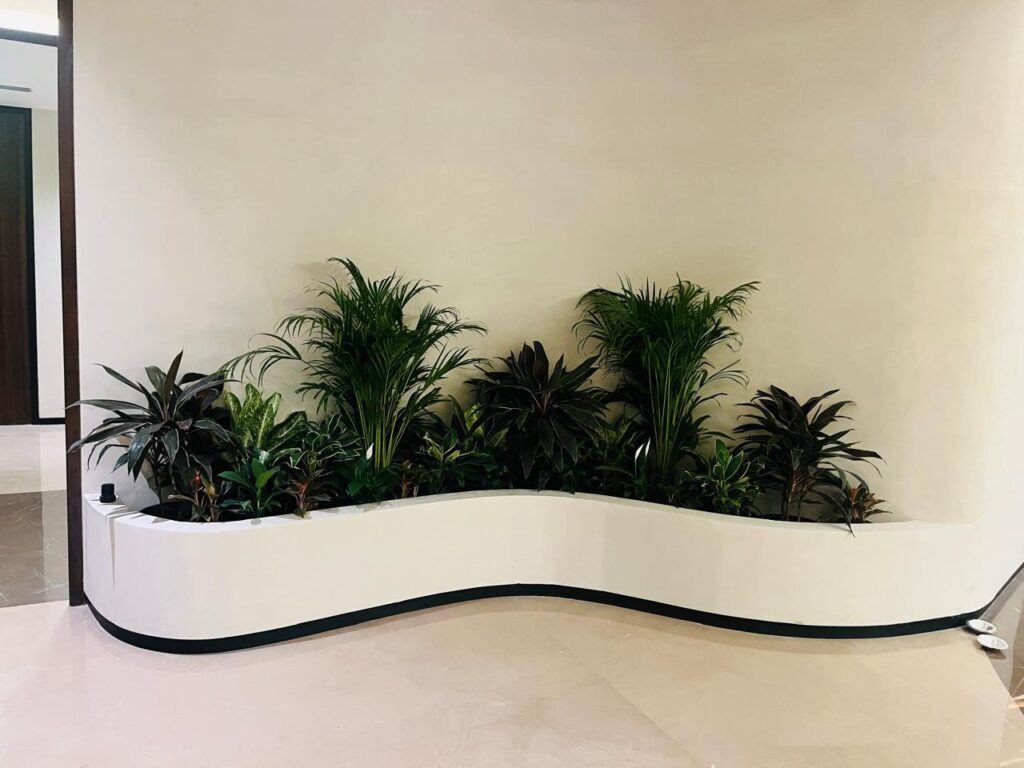 Curved indoor planter bed with multiple green plants arranged aesthetically