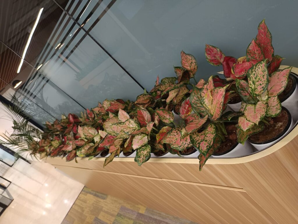 Curved indoor planter with decorative foliage plants in a modern commercial space