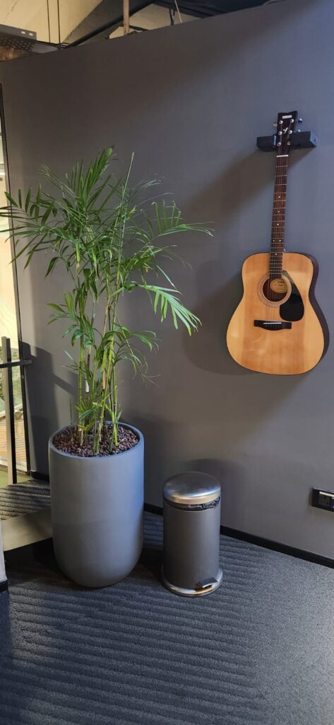 indoor plant decor with guitar modern office interior design