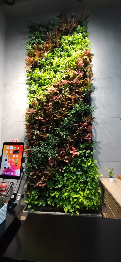 indoor vertical garden wall green installation office interior