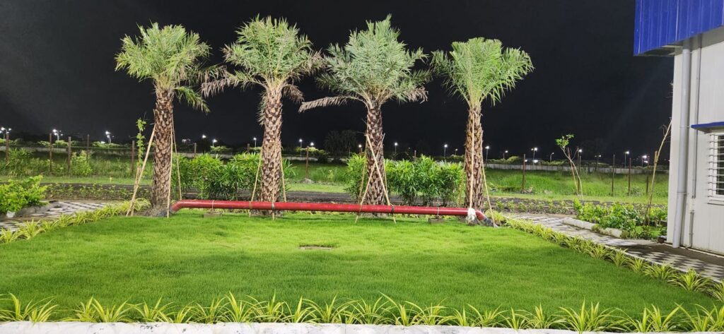 palm tree landscape with night lighting outdoor design